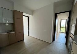 Meyer Mansion (D15), Apartment #540569601